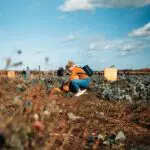 reciclar,telemóveis,carregadores,cabos
