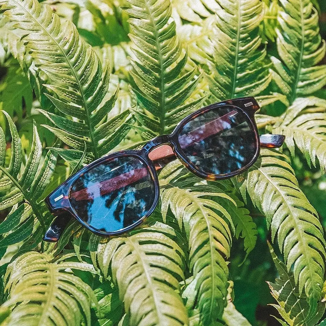 Joplins Sunglasses