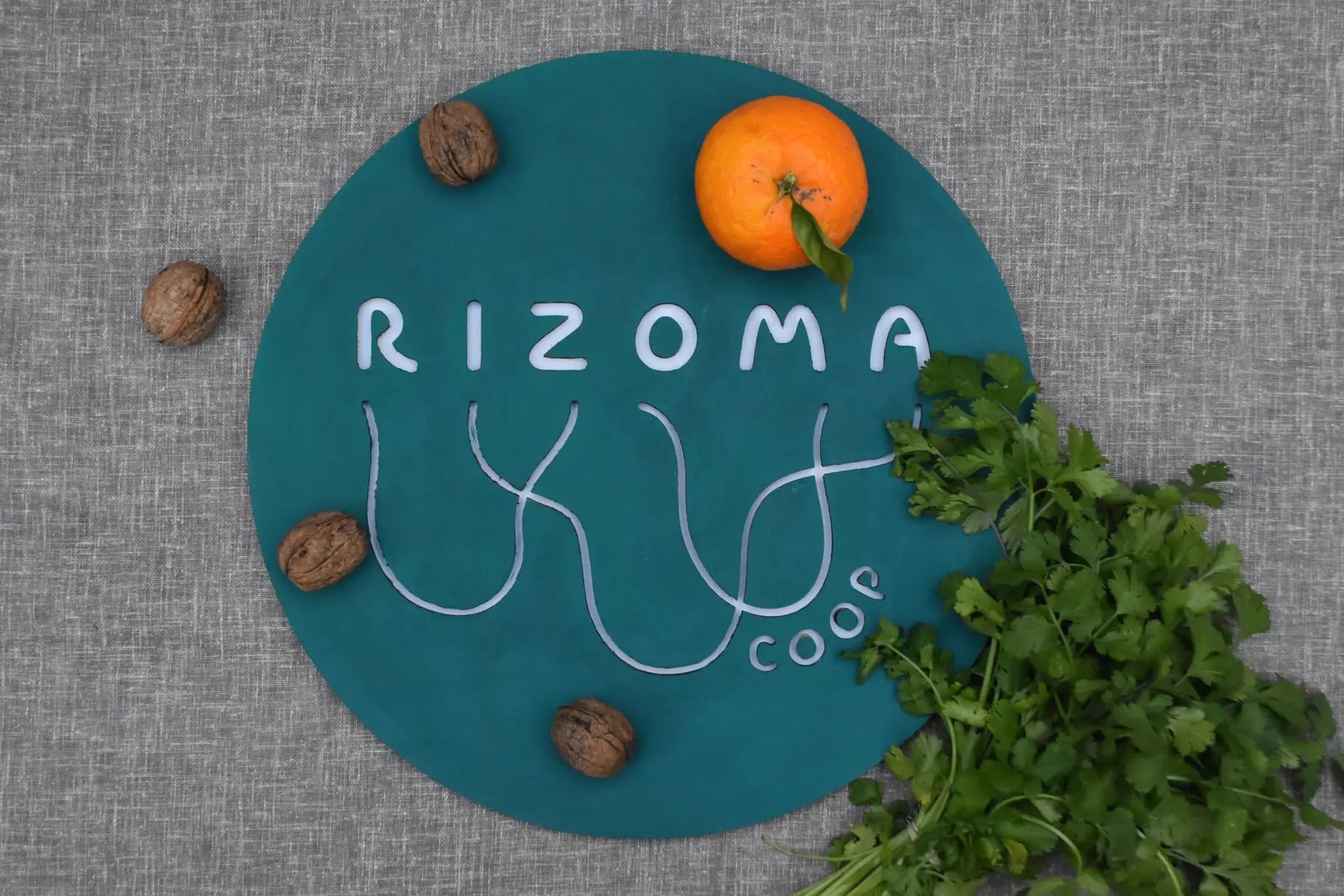 Cooperativa Rizoma