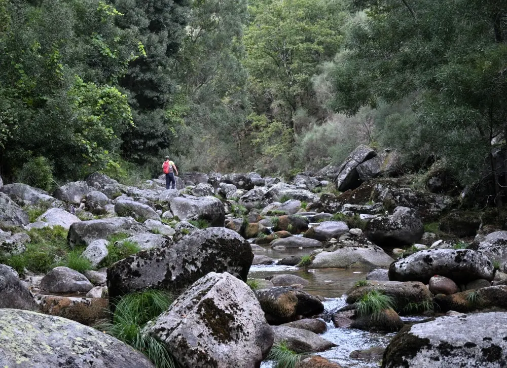 Peneda Eco Farm