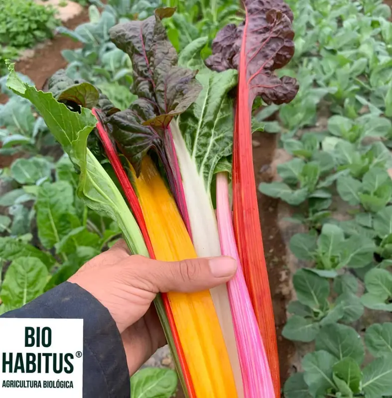Bio Habitus – Produtos Biológicos