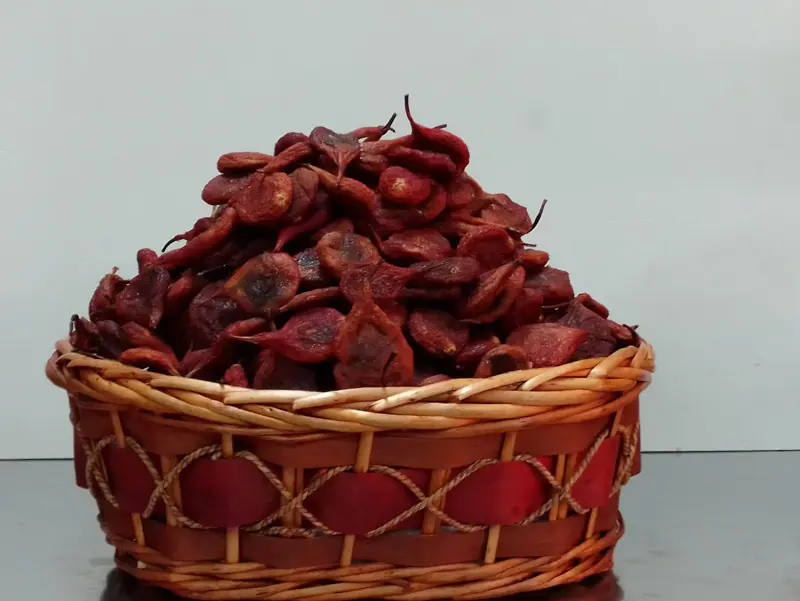 Casa Chinesa – Mota & Silva Lda
