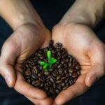 café fairtrade fair trade
