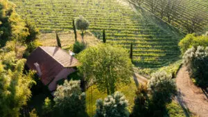 Quinta do Ameal