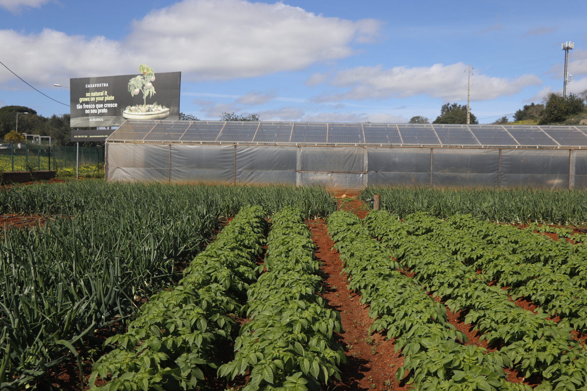 restaurante casavostra