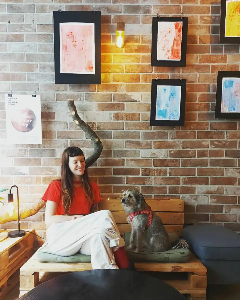 pet-friendly