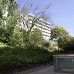 iseg floresta