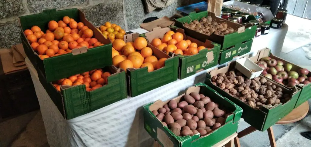 Mercadinho Biológico e Artesanal de Guimarães