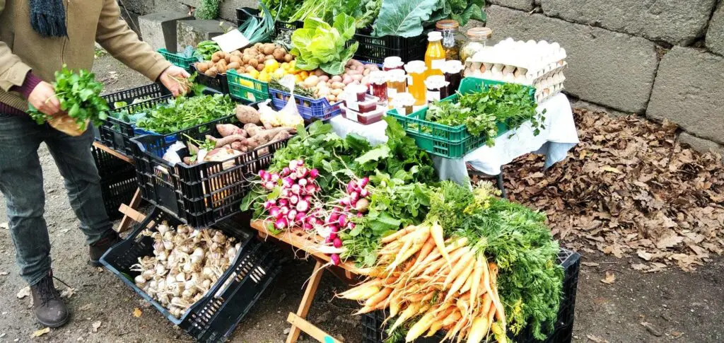 Mercadinho Biológico e Artesanal de Guimarães