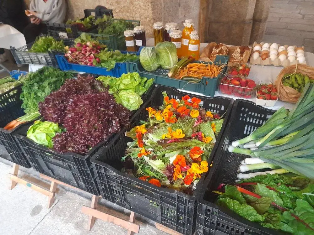 Mercadinho Biológico e Artesanal de Guimarães