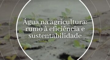 Água na agricultura: rumo à eficiência e sustentabilidade