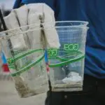 greenwashing união europeia