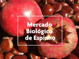 Feira de Produtos Biológicos de Espinho