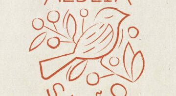 Workshop de Sabão Líquido