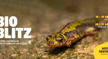 BioBlitz – Descobre a Natureza do Parque de Serralves  com a Lipor e os seus Municípios Associados