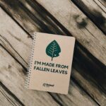 Releaf Paper startup papel árvores