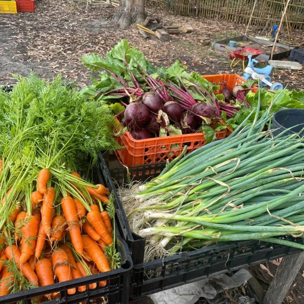 Horta do Pé Descalço