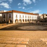 tavira Plant Based Treaty